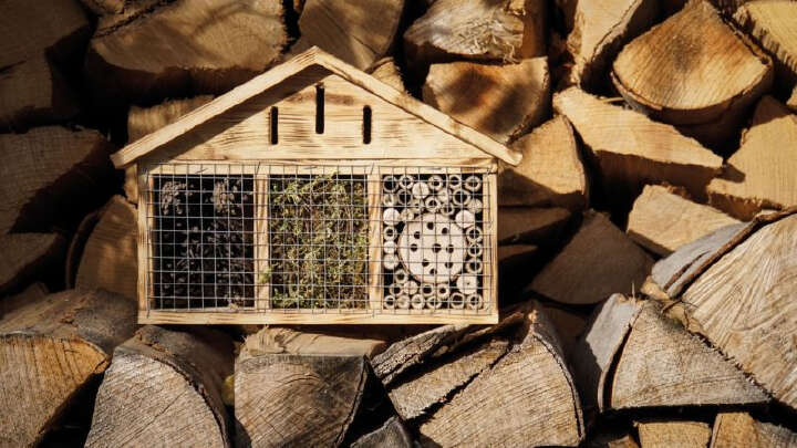 Insektenhotel aus geflämmtem Holz